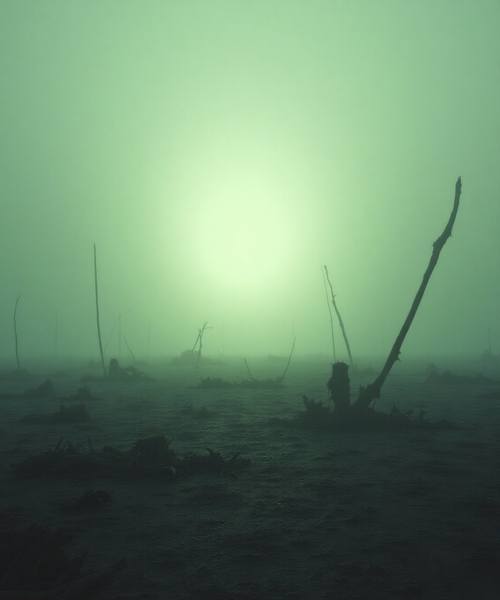 The Null Abyss The Null Abyss